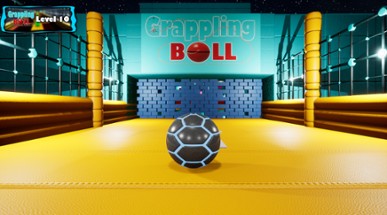 Grappling Ball Image