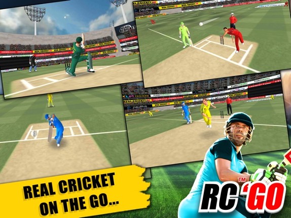 Real Cricket™ GO screenshot