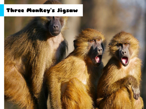 Three Monkey's Jigsaw Game Cover