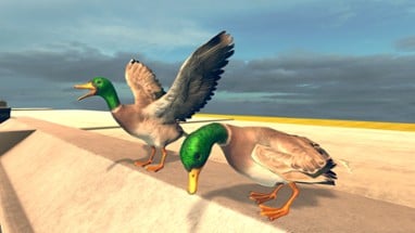 Bird Simulator Image