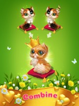 Cats-My Virtual Cat Game Image