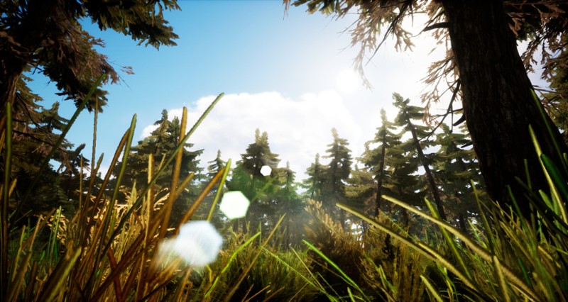 Deadly Survival screenshot