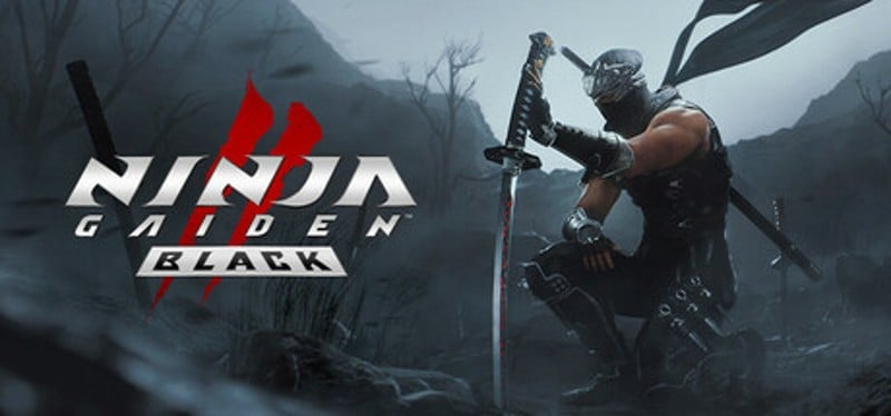 Ninja Gaiden 2 Black screenshot