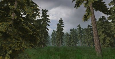 Procedural Pine Tree Creation Image