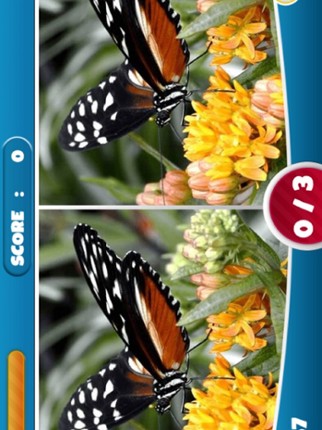 Spot The Difference of Photos Image