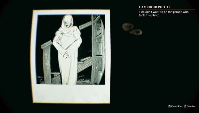 The Last Frame screenshot