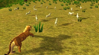 Tiger Simulator &amp; Safari Jungle Animal Image