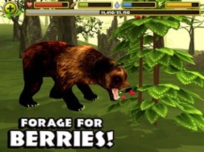 Wildlife Simulator: Bear Image