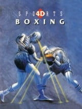 4D Sports Boxing Image