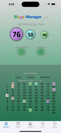 Bingo Manager 90 Image