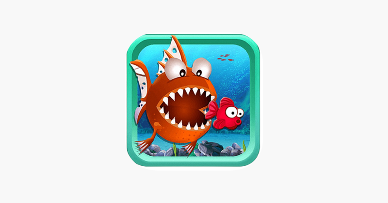 Fish Feeding 2022 Image