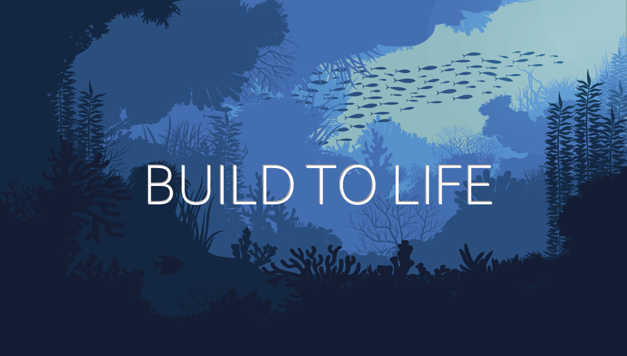 Games like BuildToLife