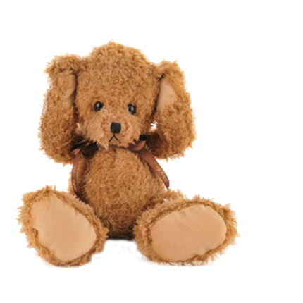 Torrenting Teddy Image