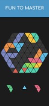 Hexa 1010! Block Puzzle Image