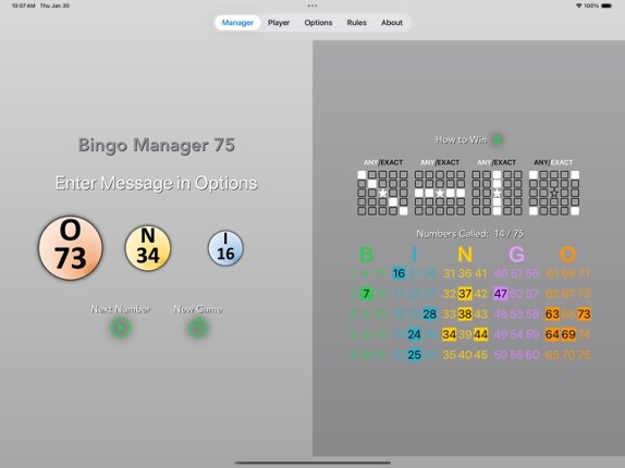 Bingo Manager 75 screenshot