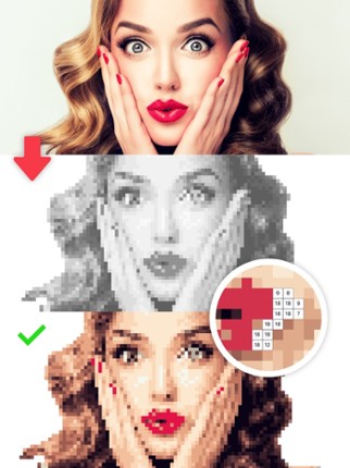 Colors by Number® – No.Draw® Image