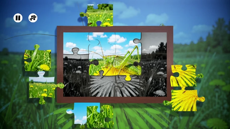 Puzzles Insect Image