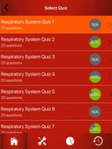 Respiratory System Trivia Image