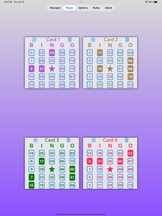 Bingo Manager 75 screenshot