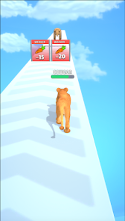 Cat Evolution Image
