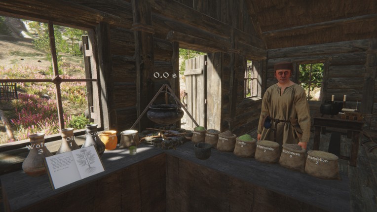 Herbalist Roman Image