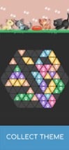 Hexa 1010! Block Puzzle Image