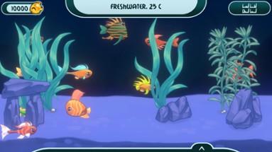 My Joyful Aquarium Image