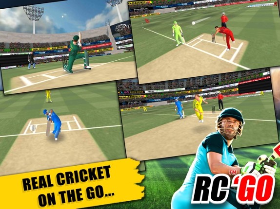 Real Cricket™ GO screenshot