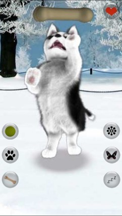 Talking Dog Virtual Pet Husky Image