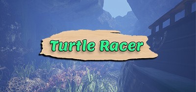 Turtle Racer Image