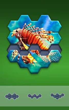 Hexa Jigsaw Puzzle ® Image