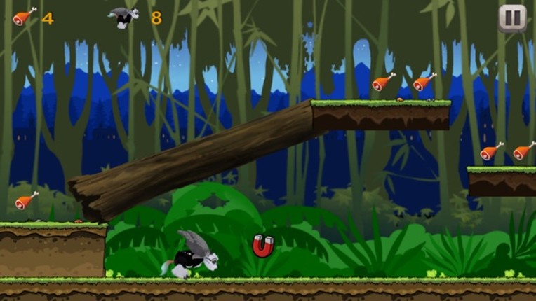 Superfly Rainforest Animals In Monkey King Jungle Image