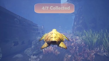 Turtle Racer Image