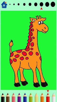 Animals Zoo Kids Coloring Book Image