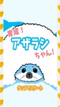 Cute Seal Image