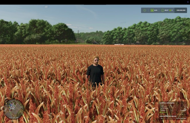 FS25 Millet (prefab) Image