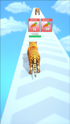 Cat Evolution Image