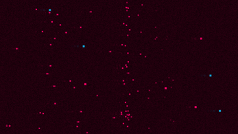 Bladius screenshot