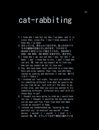 CAT-RABBITING Zine Image
