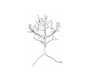 Games like Going Home Wordless: A Survival Guide to use with Tiny Things