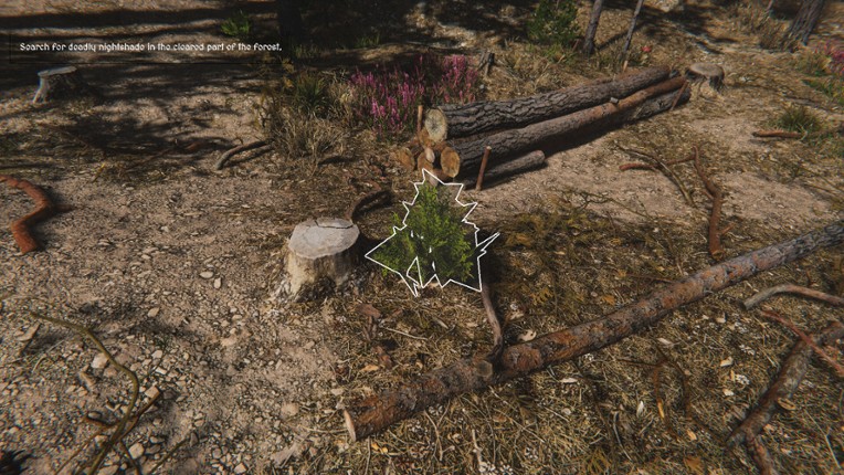 Herbalist Roman screenshot