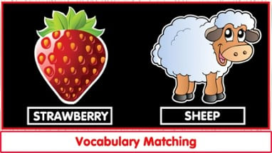 Matching Vocab Animals &amp; Fruit Image