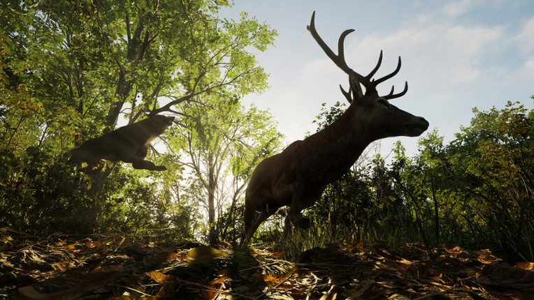 Forest Doesn’t Care screenshot