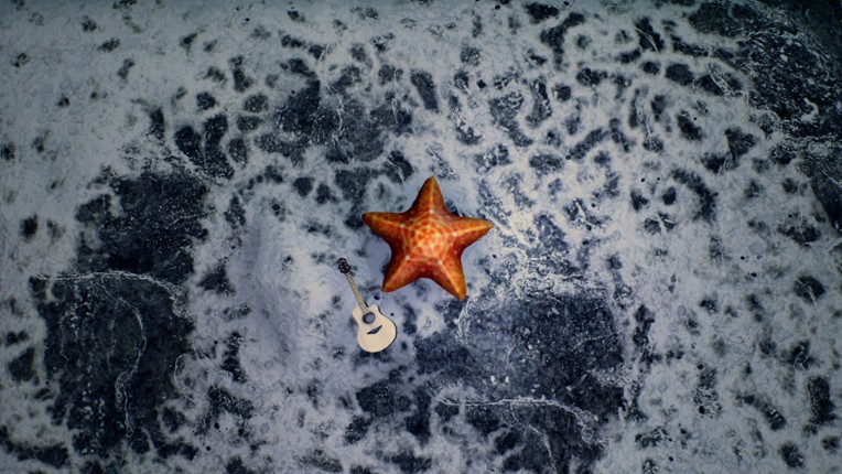 Starfish Simulator screenshot