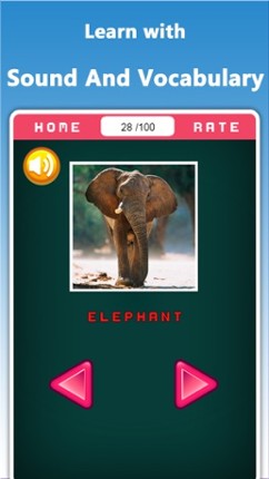 Who Am I - Learn with Animals for Kids screenshot