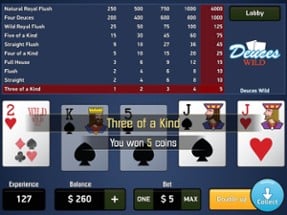 Casino Video Poker Collection Image