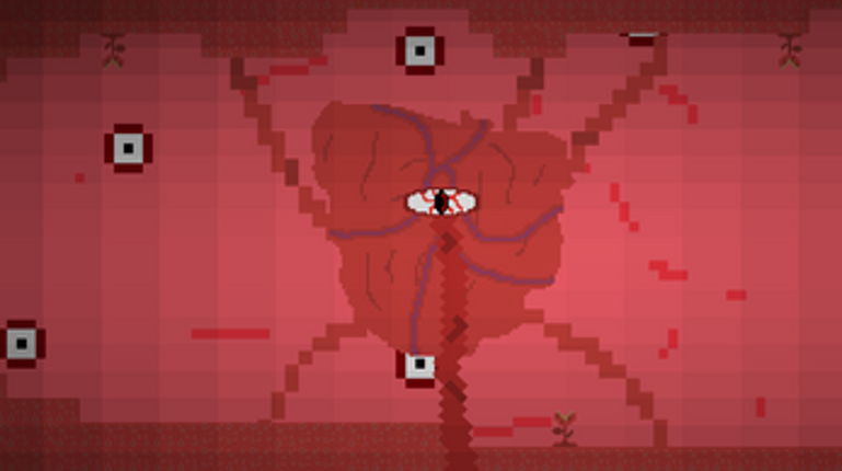 Flesh Excavation Services Image