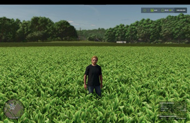 FS25 Millet (prefab) Image