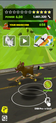 DSB Pro Image