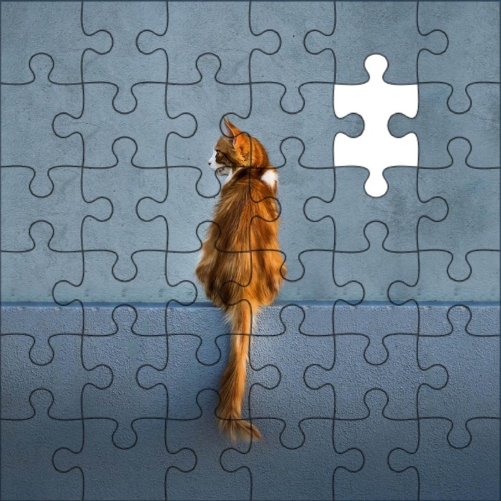 Games like Jigsaw Galaxy: Cats Edition